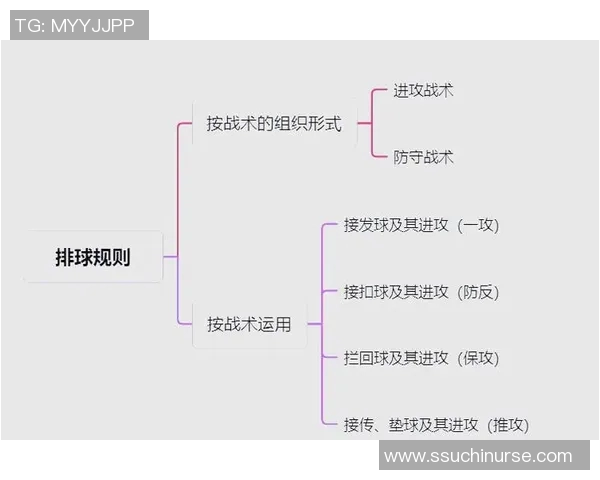 杭州排球队反击战术解析与未来发展展望