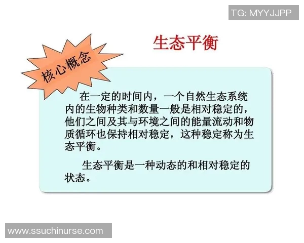 乌栖沙岩与清水的对决探讨自然景观与生态保护的平衡之道