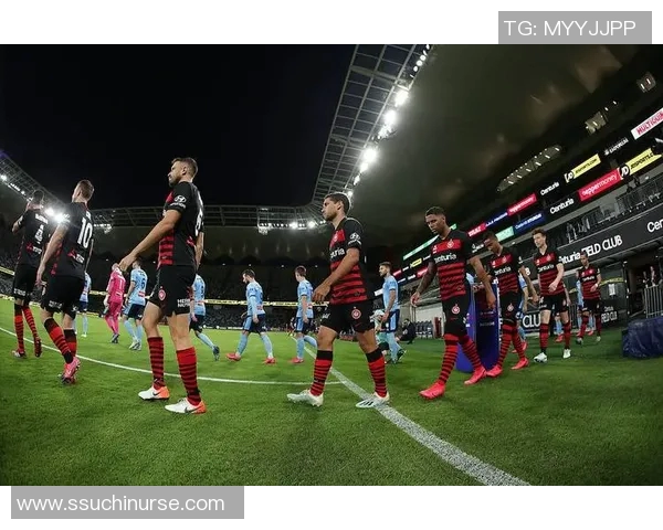 北京北控迎战惠灵顿凤凰力争主场胜利展现球队实力与风采 北京北控迎战惠灵顿凤凰力争主场胜利展现球队实力与风采