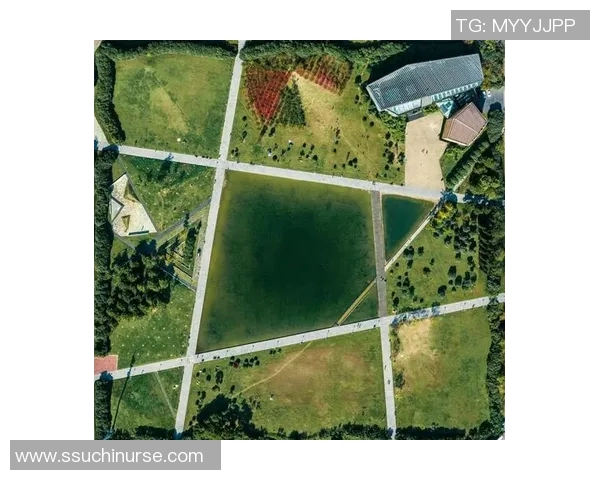 探索斯通斯的历史与文化遗产揭示其在全球艺术与建筑中的重要地位