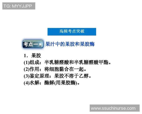 深入探讨VS2012日期功能的应用与优化技巧分享