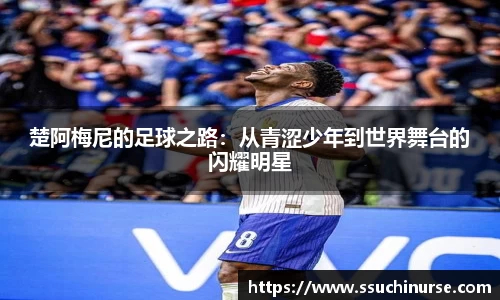米兰体育app